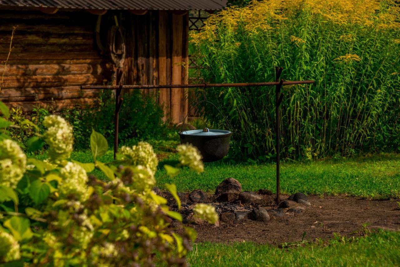 Idilliska Latgaliesu Lauku Maja Ar Melno Pirti Villa Aglona Exterior photo