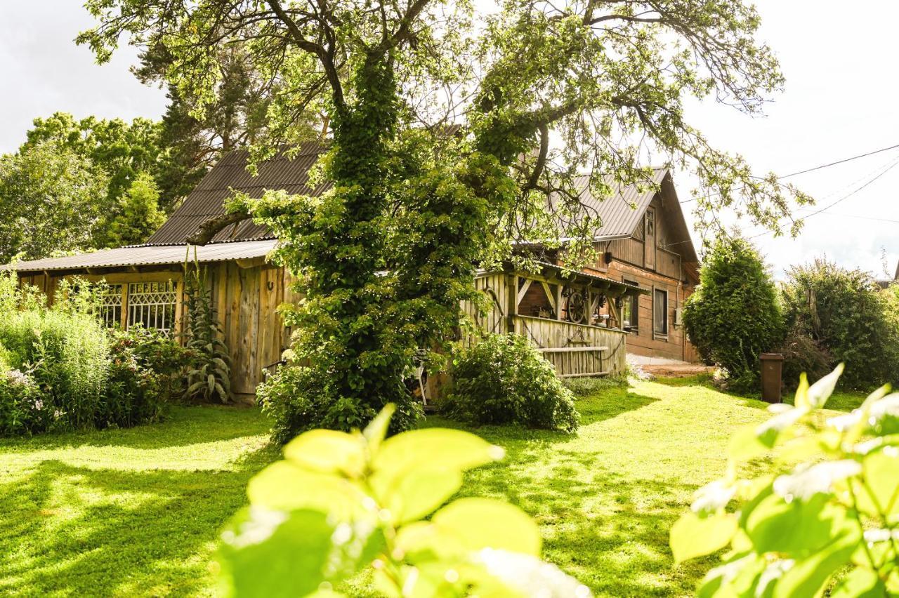 Idilliska Latgaliesu Lauku Maja Ar Melno Pirti Villa Aglona Exterior photo